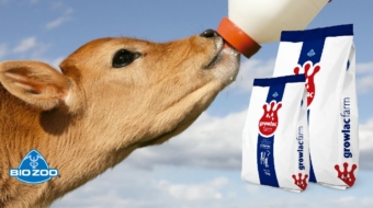 13116448_980755672043790_8813385033080215424_o