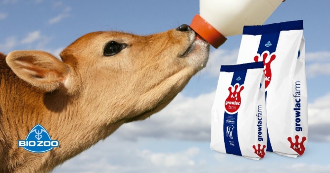 13116448_980755672043790_8813385033080215424_o